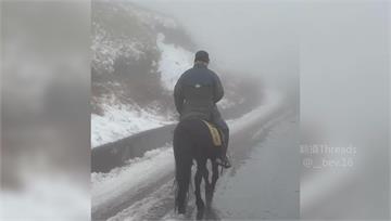騎「迷你馬」衝武嶺追雪！目擊者驚呼好帥 男違反道...