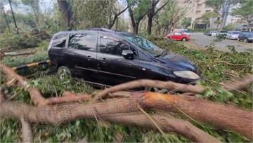 山陀兒肆虐釀慘重車損 高雄「修車」爆量