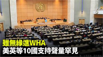 台灣無緣進WHA 美、英等10國支持聲量罕見