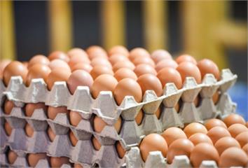 雞蛋、雞肉怎麼挑最新鮮？可以用水煮蛋來測試