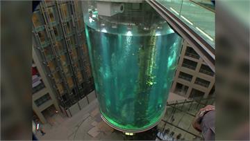 全球最大圓柱水族魚缸破裂　百萬公升水外流