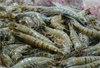 中國爆疑似「海鮮病毒傳人」？疾管署揭真相  列3...