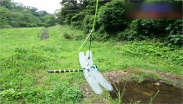 要特別大又醒目！ 「蜻蜓吊飾」成日本驅蚊蟲小物