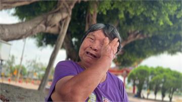 樹倒壓死郵差...二審公路局判賠176萬 年邁母...