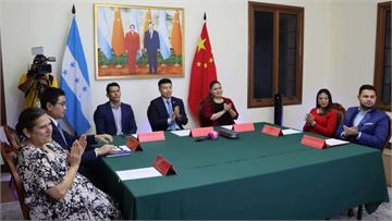 宏都拉斯將向中國出口3000噸白蝦 盼中成為亞洲...