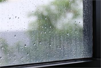 大雨後赤腳下水恐染類鼻疽！ 防護不馬虎保健康