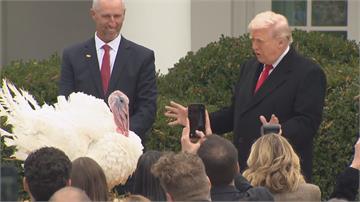 美感恩節民眾忙返鄉 通膨嚴重火雞漲4成