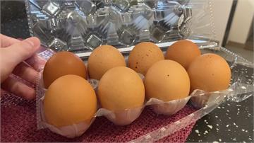 進口蛋製造日竟是購買當天！ 農委會揭真相