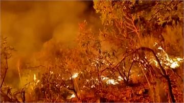 歐洲西南部熱浪侵襲 高溫助長野火連環燒
