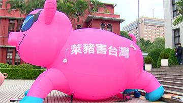 「秋鬥」上街反萊豬 國民黨粉紅充氣豬首亮相