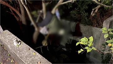 50歲婦不明原因墜圳溝！「倒栽蔥」卡樹幹 送醫搶...