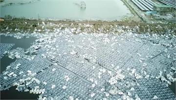 颱風毀嘉義光電板致汙染？ 彭啟明：一半檢測重金屬...