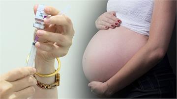 孕婦該打新冠疫苗？WHO不建議 美、以國贊成