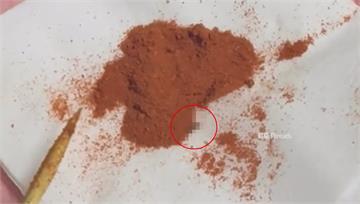 不是結塊... 屏東鹹酥雞店「辣粉蠕動」疑藏蟲卵