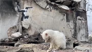 英神秘塗鴉大師在烏克蘭　斷垣殘壁中留下作品