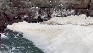 貢寮海岸驚現「黃白色泡泡雪」宛如大雪紛飛！ 竟是...