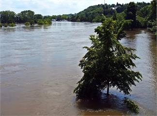 百年水患！大馬12.5萬人撤離 7州洪水氾濫