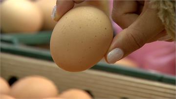 供過於求！ 雞蛋「每斤降3元」近兩年來最低 批發...