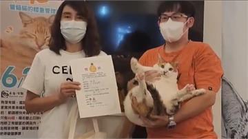 寵物餐廳「肥貓大賽」 10.6公斤米克斯奪冠