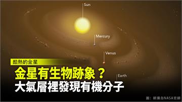 酷熱的金星有生物跡象？ 金星大氣層裡發現有機分子