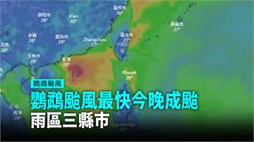 影／颱風「鸚鵡」最快今午生成 明花東、恆春防雨襲