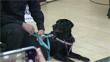 台中4警犬光榮退役！警篩百封領養書　新主人：盼牠...