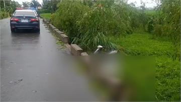 颱風天傳災情！台東伯疑騎車自摔　倒臥雜草堆喪命