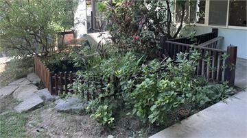 竹北托嬰中心 1歲半女童跌落20公分生態池溺斃 