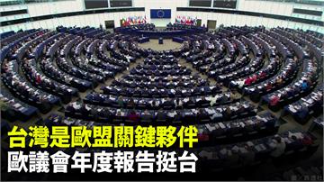 台灣是歐盟關鍵夥伴 歐議會外交安全年度報告挺台