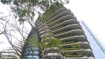 揭密超級豪宅「陶朱隱園」！2千坪生態庭院造價5億...