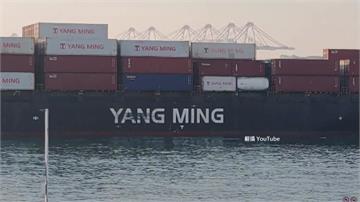 陽明海運環明輪夾帶「雙獅牌海洛因磚」被抓！ 船長...