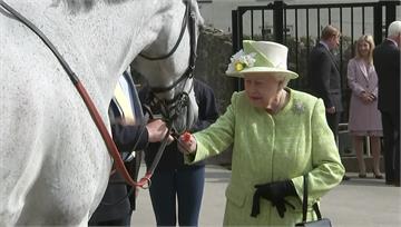 英國女王愛馬成痴　愛駒參加賽馬比賽賺3億台幣
