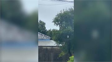 颱風「梅花」橫掃石垣島 水塔遭強風吹落砸車