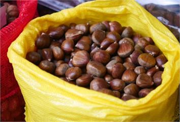 減肥多吃蔬菜卻越吃越胖？玉米、南瓜、栗子都上榜，...