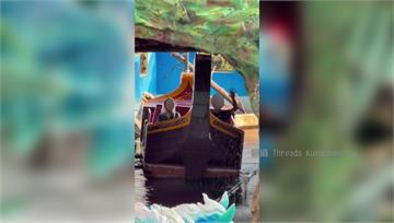 義大世界兩童困船上比「540」手勢求救 見另艘船...