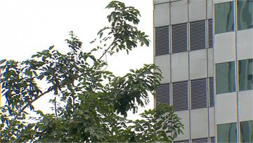 冷氣團減弱但仍「濕冷」 跨年、元旦天氣一次看