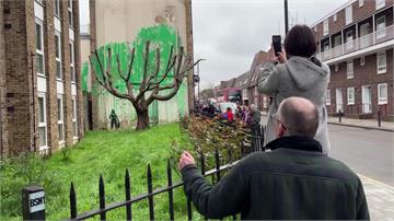 班克西街頭塗鴉新作 倫敦梧桐枯樹「長新葉」