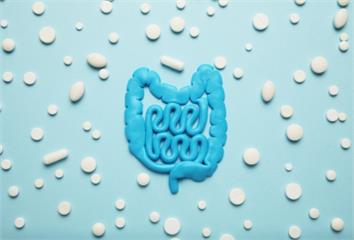 抗癌最強大的盟友是腸道菌？不僅能降低治癌副作用 ...