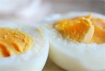 吃蛋會讓膽固醇升高？醫破迷思：關鍵不在蛋黃 4大...