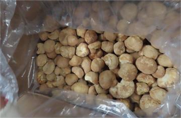 中國猴頭菇禁止進口期將滿 12/30起恢復輸台