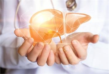 肝不好人生黑白？ 中醫教你3招養肝清熱、疏肝解鬱
