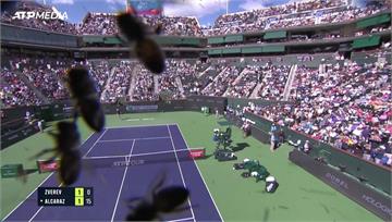 印第安泉網球賽 3500隻蜜蜂闖入觀眾嚇傻