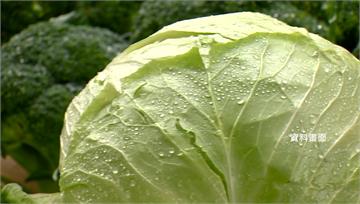 進口菜農藥超標！民眾慶幸沒買 菜販曝：其實天天都...