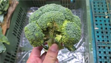 別丟掉！綠花椰菜「最抗癌」非花球　竟是「這部位」