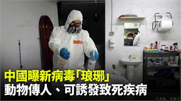 中國曝新病毒「琅琊」！動物傳人、誘發致死 35例...