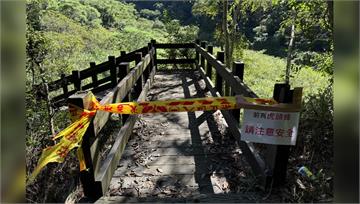 泰安溫泉水雲瀑布虎頭蜂攻擊！ 4人傷送醫「2人被...