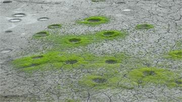 日月潭乾旱奇景 湖底驚現「迷你隕石坑」成因曝