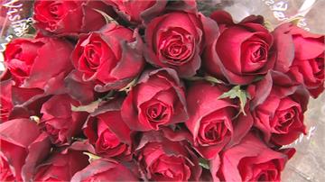 天冷玫瑰花產量減少！ 全球過情人節花價漲