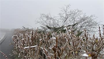 水氣不足沒下雪 太平山今晨零下4度結霜美景曝光！