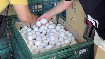 買進口蛋心驚驚！　國產蛋需求增「漲」聲響